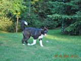 2010_07_08 017.jpg